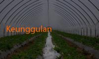 Keunggulan Spotbet: Taruhan Langsung dengan Odds Terbaik di Pasaran!